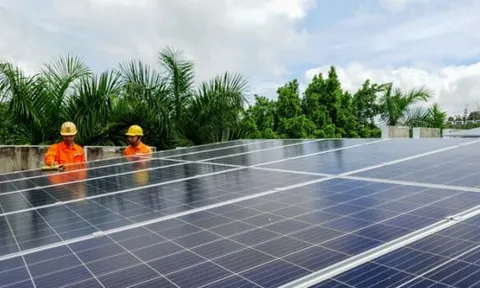 EVN công bố giá mua điện mặt trời mái nhà năm 2024