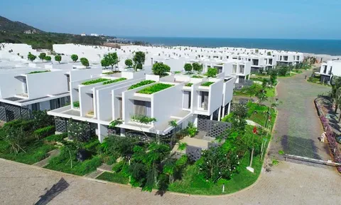 Khai khống vốn điều lệ, Du lịch Hoa Anh Đào bị xử phạt