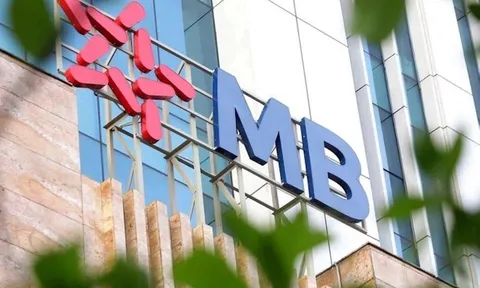 Dự báo lợi nhuận ngân hàng trong quý 4/2022 và cả năm 2022