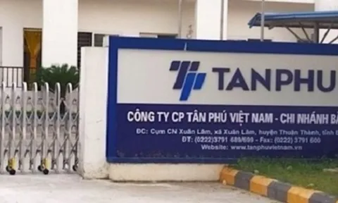 Tân Phú Việt Nam - Công ty con của DNP Holding bị xử phạt về thuế gần 400 triệu đồng