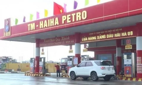 Nợ thuế lớn, Hải Hà Petro bị thu hồi giấy phép kinh doanh xăng dầu