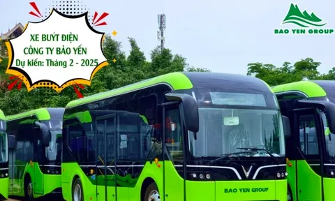 Quyết định kinh doanh xe buýt điện, Bảo Yến tiềm lực ra sao?