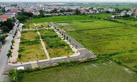 Hà Nội chuẩn bị đấu giá 29 lô đất tại xã Thanh Oai, khởi điểm từ 14 triệu đồng