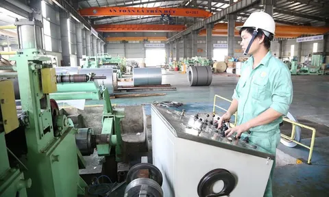 Bị phạt vì biến lỗ thành lãi, công ty đổ lỗi do máy tính cũ