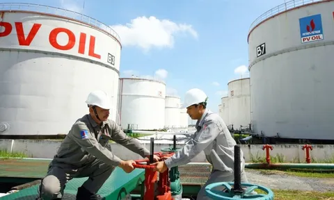 Cổ phiếu OIL 'tím lịm', thanh khoản cao nhất mọi thời đại
