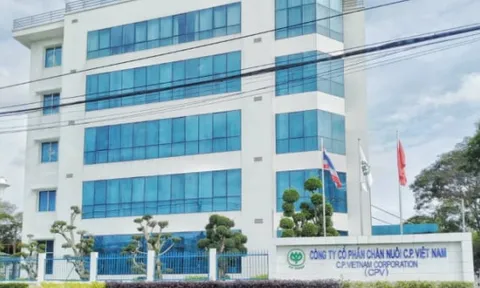 Công ty C.P. Việt Nam cùng 2 ông lớn ngành chăn nuôi sắp bị thanh tra