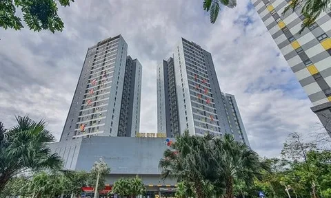 Vi phạm về khoáng sản, Công ty CP AAV Group buộc phải nộp lại hơn 12,1 tỷ đồng