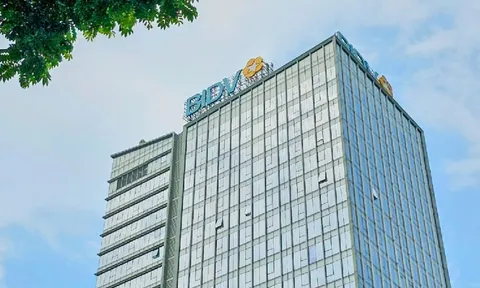 BIDV phát hành cổ phiếu riêng lẻ hơn 10.000 tỷ đồng, 33 'ông lớn' đăng ký