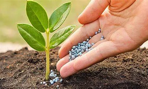 Việt Nam xuất khẩu phân bón hơn 700 triệu USD
