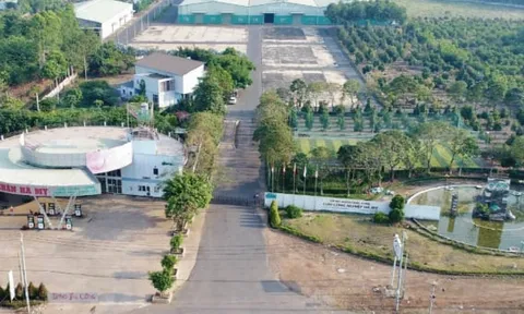 Thương hiệu hạt điều Hà Mỵ đứng sau LOTHA Airlines?