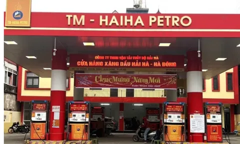 Hải Hà Petro bị rút giấy phép, loạt công ty con lộ khối nợ trăm tỷ