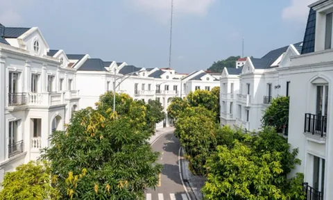 Cơ hội “vàng” an cư cuối năm tại biệt thự hạng sang Yên Bái với ưu đãi đặc biệt