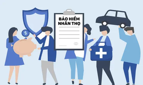 Các công ty bảo hiểm đang chia thị phần như thế nào tại Việt Nam?