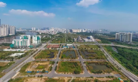 Bộ Tư pháp yêu cầu báo cáo quy trình đấu giá lô đất Tân Hoàng Minh bỏ cọc