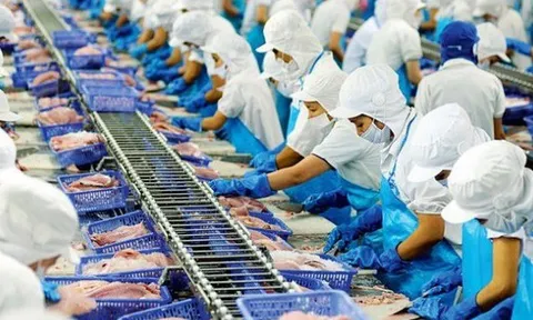 Nữ hoàng cá tra Vĩnh Hoàn "hụt hơi"