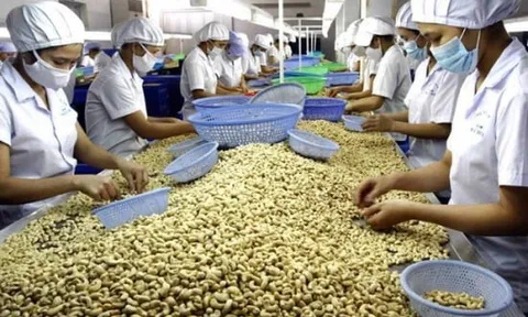 Cảnh báo doanh nghiệp cẩn trọng khi xuất khẩu sang Tây Ban Nha