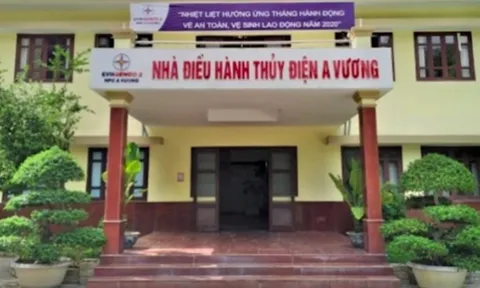Ông chủ Thuỷ điện A Vương làm ăn sa sút, khối nợ phình to hơn 600 tỷ
