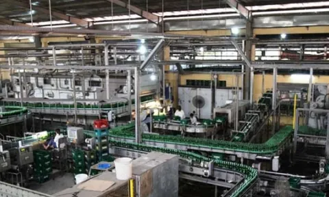 Công ty CP Bia Hà Nội – Thanh Hoá: Nghịch lý doanh thu tăng cao, lợi nhuận sụt giảm “không phanh”