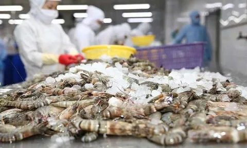 Nợ phải trả tăng cao, Thực phẩm Sao Ta kinh doanh đi lùi