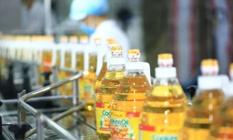 Vocarimex lỗ lớn, lãnh đạo vẫn muốn chia cổ tức 100% bằng tiền mặt