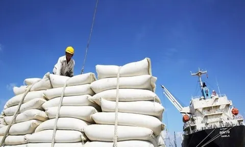 Xuất khẩu gạo có thể mang về hơn 5 tỷ USD trong năm 2024