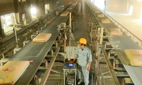 Thủ tướng yêu cầu báo cáo thông tin các nhà máy xi măng thua lỗ, có nguy cơ dừng sản xuất