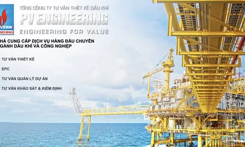 PVE: Kinh doanh thua lỗ, chậm đóng BHXH hơn 15,6 tỷ đồng