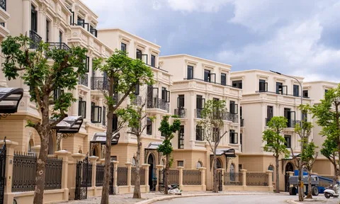 Tiềm lực của Bất động sản Sứ Hải Dương khi đầu tư 2.800 tỷ làm dự án rộng 8ha