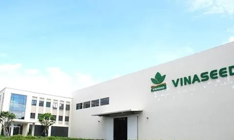 Vinaseed (NSC): Chi hơn 35 tỷ đồng trả cổ tức tiền mặt giữa lúc biên lợi nhuận rơi đáy, tồn kho và nợ vay cùng tăng vọt