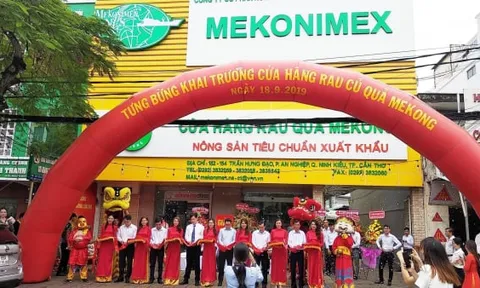 Hơn 10 triệu cổ phần của SCIC tại Mekonimex “bị ế”