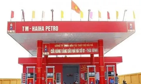 Bộ Tài chính nói về Hải Hà Petro và gần 10 đầu mối xăng dầu nợ thuế