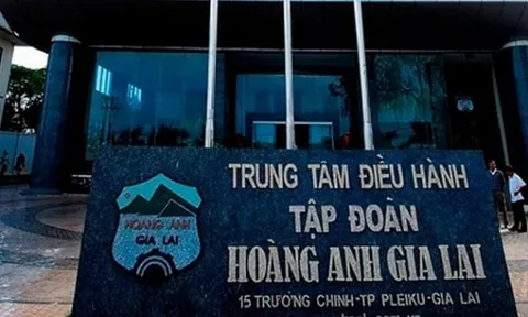 HAGL thoái vốn thành công tại HAGL Agrico