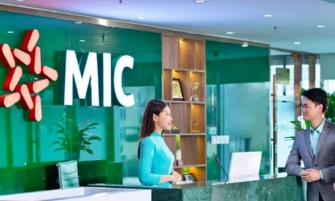 MIC: Lợi nhuận quý IV giảm 27% kéo lợi nhuận 2024 đi xuống