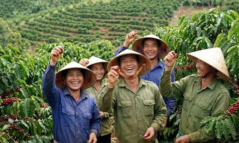 Giá cà phê hôm nay 21/1: Bật tăng 600đ, áp sát mốc lịch sử 100k