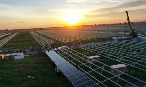 Đắk Lắk: Thu hồi 13,2 ha đất của dự án điện mặt trời Xuân Thiện