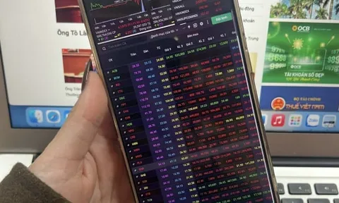 Thị trường rung lắc mạnh, VN-Index giảm gần 12 điểm