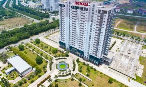 Báo lỗ quý thứ 5 liên tiếp, TDC có năm tồi tệ nhất lịch sử