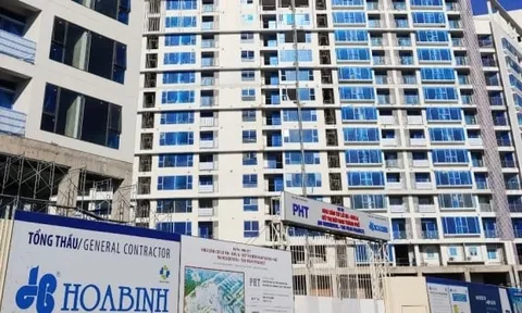 Xây dựng Hòa Bình đội sổ nợ bảo hiểm xã hội tại Tp.HCM