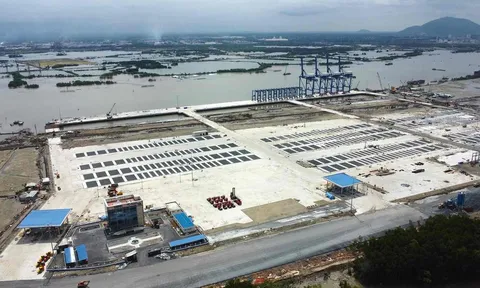 Cảng Phước An (PAP) lỗ ròng 504,69 tỷ năm 2025, nợ vay vọt 5.586 tỷ: Chào bán 125 triệu cổ phiếu giá 13.610 đồng để tiếp vốn dự án