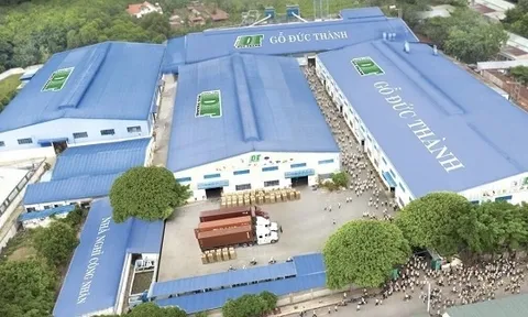 Gỗ Đức Thành bị phạt, truy thu hơn 408 triệu đồng tiền thuế