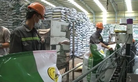 Quý 4/2022, lợi nhuận của Phân bón Bình Điền giảm gần 80% so với cùng kỳ