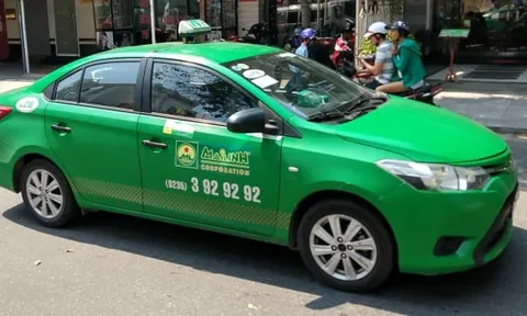 Chủ tịch Tập đoàn Mai Linh có nguy cơ bị tạm hoãn xuất cảnh