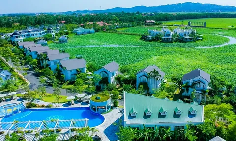 Tập đoàn Đầu tư Thăng Long (TIG): Khởi công TIG Tower trên đất vàng Nguyễn Trãi, lộ bóng hệ sinh thái Hùng Túy - Picenza sau 15 năm