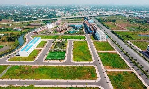 Siết cọc đấu giá đất nền: Người bỏ cọc hết 'đất diễn'?