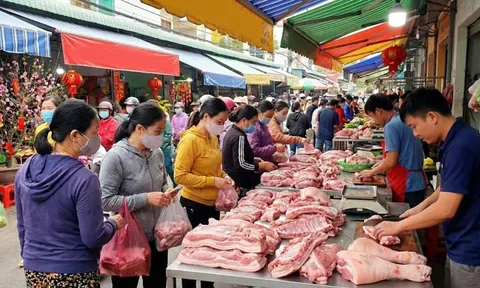 Giá heo hơi hôm nay 27/1: Miền Bắc tiếp tục giữ mặt bằng cao