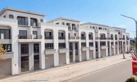 Thị trường bất động sản Bắc Hà Tĩnh "dậy sóng" đầu năm: Giải mã sức hút của ROX Living Đức Thọ