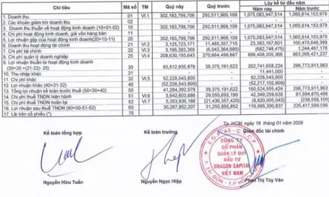 Lợi nhuận Dragon Capital giảm 50%, cổ phiếu tăng “bốc đầu” hơn 181% chỉ sau 6 phiên