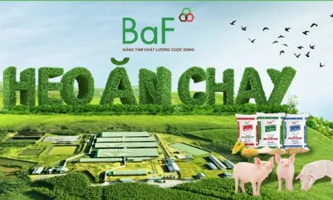 BAF tăng cường vay nợ nhưng sử dụng kém hiệu quả