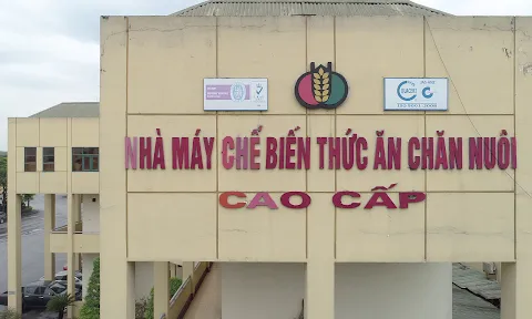 Dabaco niềm vui chưa trọn: Lãi tăng 31 lần, giấc mơ tỷ USD xa tầm với
