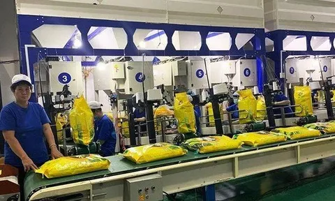"Chuyện buồn" của gạo Trung An: Doanh thu kỷ lục, lợi nhuận hụt hơi